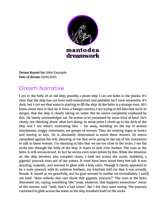 Dream Report sample preview