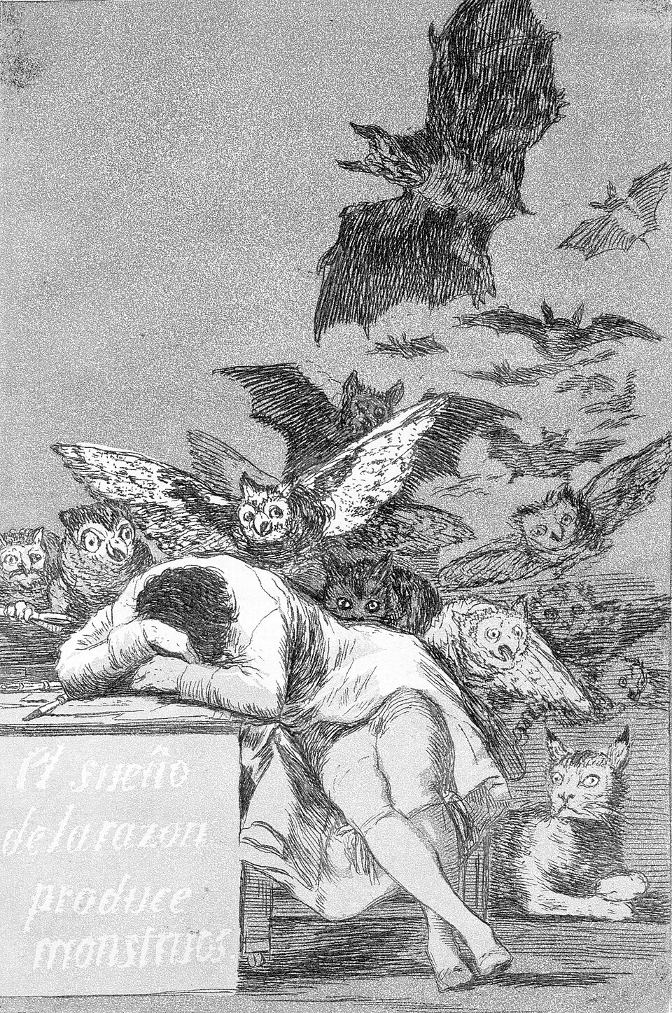 Goya's Sleep of Reason